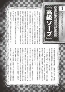 アブノーマル風俗入門 ～ラブドール風俗から、1000万円の風俗嬢まで～, 日本語