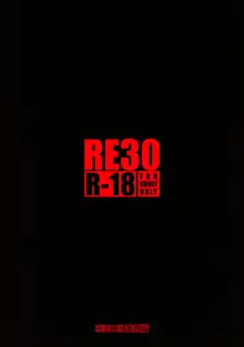 RE30, 日本語