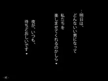 海賊業をやめたロビ姉とナミ姉と盲目の少年ランサー, 日本語