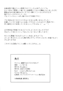 謎解きはセクロスのあとで, 日本語