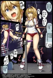 Senkan Warspite Jinmon Chousho, 中文