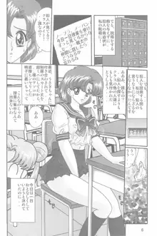 水野亜美日記S, 日本語