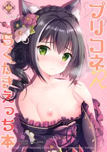 PriConne Rakugaki Ecchi Bon, English