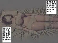 Meisekimu no Haikyo | 자각몽의 폐허, 한국어