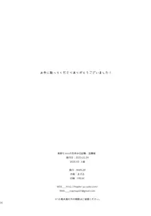 美鈴ちゃんの冬休み日記帳（加筆版）, 日本語