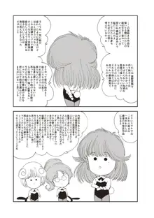 ひみつの少女性癖, 日本語