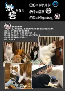 UR Neko-chans Life | UR小猫咪们的日常生活, 中文