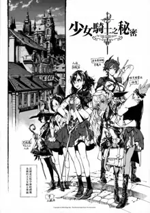 Otome Kishi no Himegoto, 中文