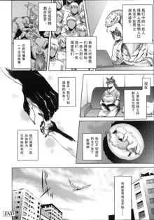 HitoMoe Iinkai Ch. 1-8, 中文