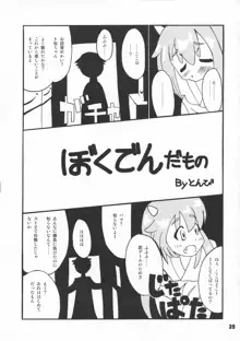 戦国こぼれ話, 日本語