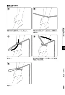 身体も心もボクのもの はじめてのSMガイド, 日本語