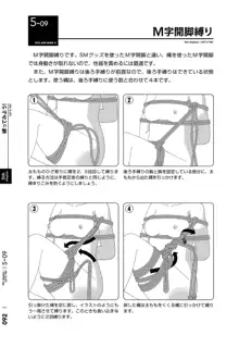 身体も心もボクのもの はじめてのSMガイド, 日本語