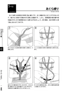 身体も心もボクのもの はじめてのSMガイド, 日本語