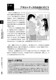 身体も心もボクのもの はじめてのSMガイド2, 日本語