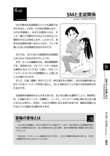 身体も心もボクのもの はじめてのSMガイド2, 日本語