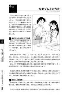 身体も心もボクのもの はじめてのSMガイド2, 日本語