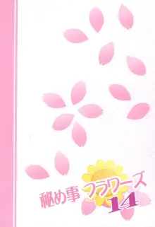 Himegoto Flowers 14, 中文