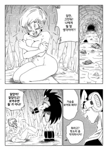 Warui Aniki - Bulma ga Yuukai Sareta!, 한국어