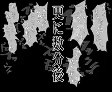 洗脳されたPで4のヒロイン, 日本語