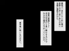 催眠オークの逆襲-オークになった俺が催眠術で雌エルフ達をヤりたい放題-, 日本語