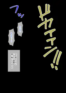 幼馴染催眠調教日記～はじめてのさいみん～, 日本語