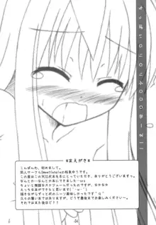 ちっぱいロリロリ4000おーる!!, 日本語