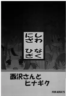 西沢さんとヒナギク, 日本語