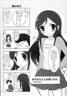 俺たちの妹めいかあDX, 日本語