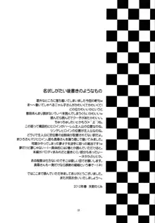 名状しがたい薄い本のようなもの, 日本語