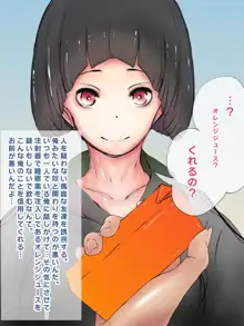 少女誘拐実験vol.1, 日本語