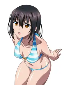 Himeragi Yukina to Love Love H suru CG Shuu IV Miko-tachi no Resort Hen, 中文