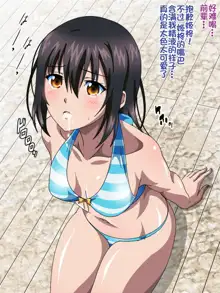 Himeragi Yukina to Love Love H suru CG Shuu IV Miko-tachi no Resort Hen, 中文