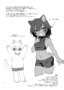 ねこちゃんにあまえたい, 日本語