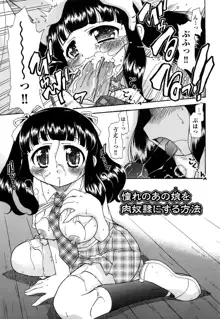 憧れのあの娘を肉奴隷にする方法, 日本語