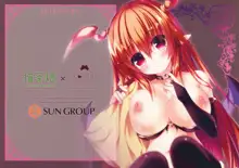 SUCCUBUS NIGHT MARE, 日本語