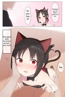 Nekomimi no Kaguya-sama, English