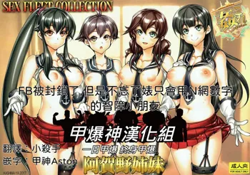 KanColle -SEX FLEET COLLECTION-Agano Shimai-, 中文