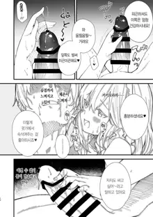 Kemomimi Maid to Ichaicha suru Hon | 동물귀 메이드와 꽁냥꽁냥하는 책, 한국어