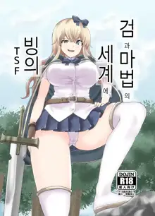 Ken to Mahou no Sekai de Hyoui TSF  | 검과 마법의 세계에 빙의, 한국어