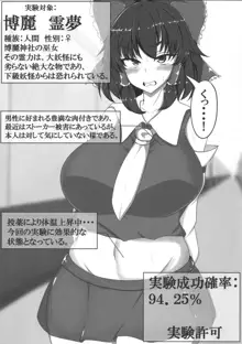 東方婚姻録～博麗霊夢編～, 日本語