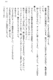 国王になったが妹は俺を嫌うし、国庫は大赤字で大変です, 日本語