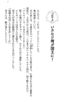 国王になったが妹は俺を嫌うし、国庫は大赤字で大変です, 日本語