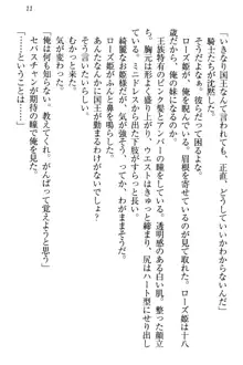 国王になったが妹は俺を嫌うし、国庫は大赤字で大変です, 日本語