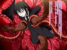 Super Hentai CG Shuu O-01 Youkai Hakuja Hime, 中文