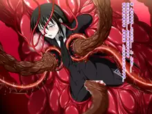 Super Hentai CG Shuu O-01 Youkai Hakuja Hime, 中文