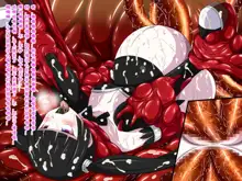 Super Hentai CG Shuu O-01 Youkai Hakuja Hime, 中文