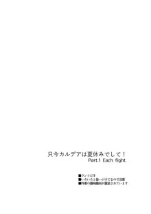 只今カルデアは夏休みでして! Part.1 Each fight., 日本語