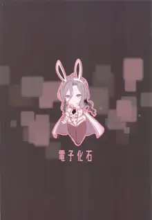 DRASTIC BUNNY, 日本語