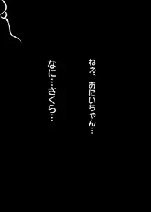 NTR え？おにいちゃんとえっちするの？, 日本語