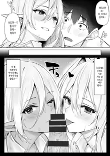 Isekai Shoukan III Elf na Onee-san-tachi wa Suki desu ka?, 한국어